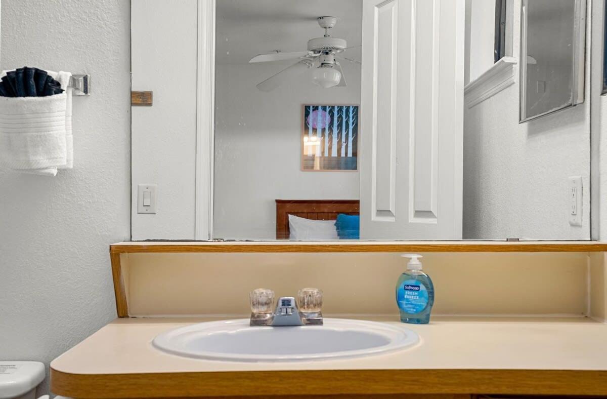 הוילה טאמפה 4Bd 2 Mi To Usf Free Pool + 24 Hour Gym מראה חיצוני תמונה
