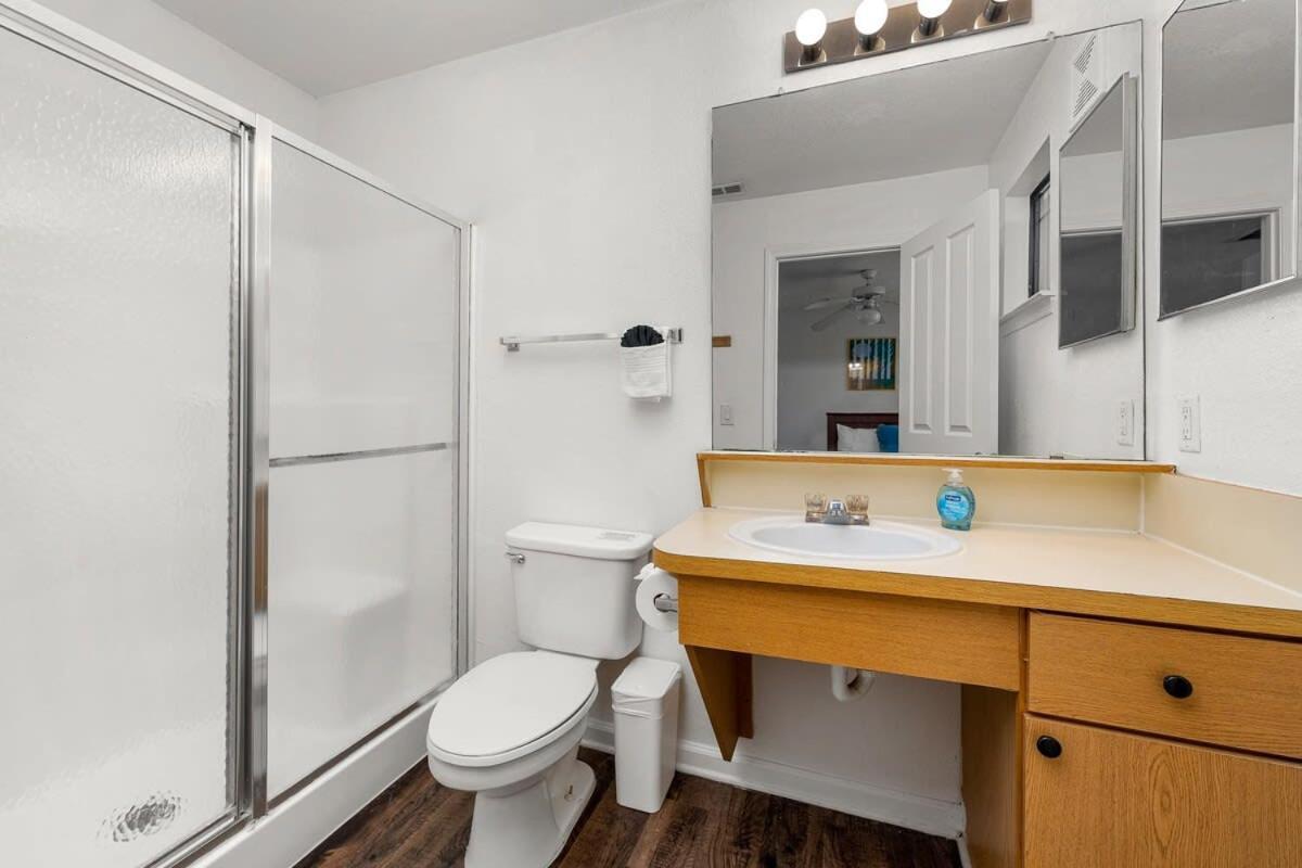 הוילה טאמפה 4Bd 2 Mi To Usf Free Pool + 24 Hour Gym מראה חיצוני תמונה
